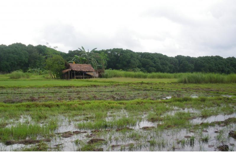 Agricultural Lot for sale in Iba - image 2