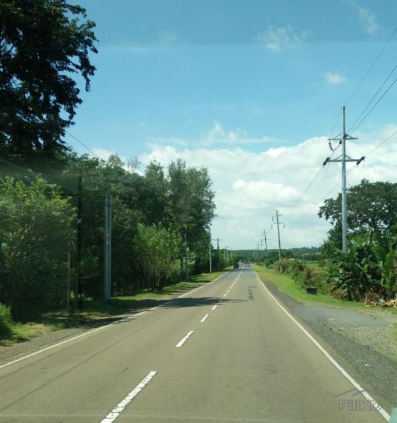 Picture of Agricultural Lot for sale in Iba in Philippines