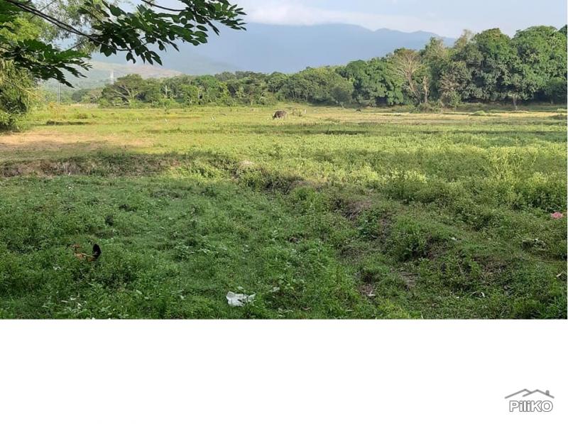 Picture of Other property for sale in Masinloc