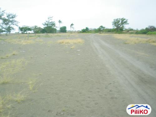 Other lots for sale in Candelaria - image 4