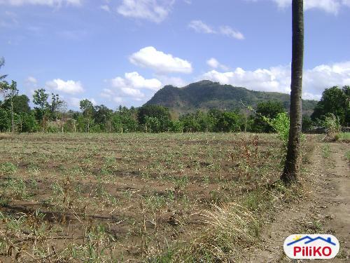 Agricultural Lot for sale in Nasugbu in Philippines