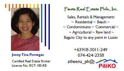 Agricultural Lot for sale in Iba in Philippines