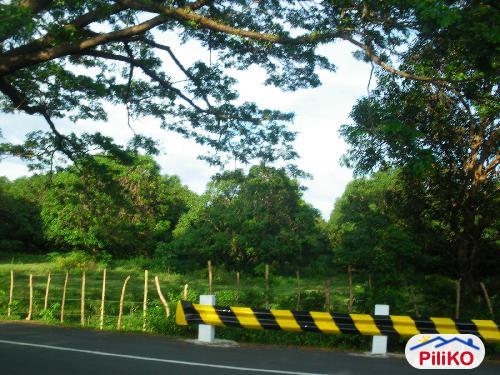 Agricultural Lot for sale in Iba in Philippines