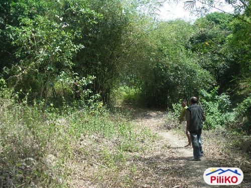 Agricultural Lot for sale in Cabangan in Philippines