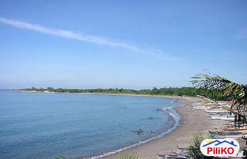 Residential Lot for sale in Cabangan - image 4