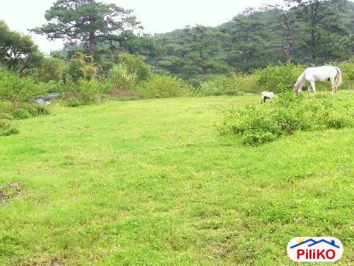 Hotel for sale in Baguio - image 4
