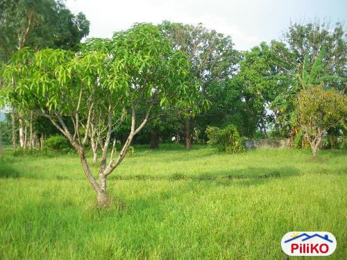 Agricultural Lot for sale in Botolan in Philippines