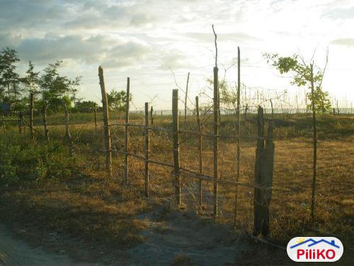 Agricultural Lot for sale in San Felipe in Philippines