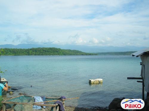 Agricultural Lot for sale in Palauig in Philippines