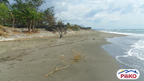 Agricultural Lot for sale in Iba - image 4