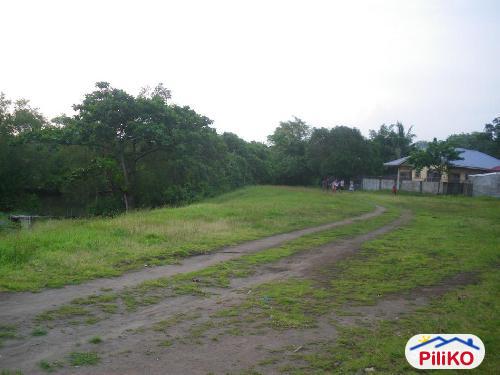 Agricultural Lot for sale in Iba in Philippines