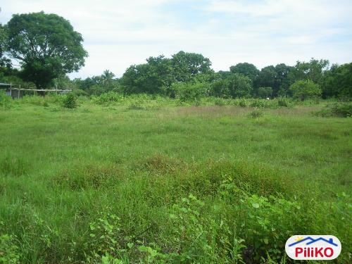 Agricultural Lot for sale in Iba in Philippines