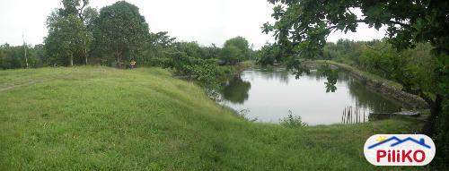 Other lots for sale in Iba - image 4