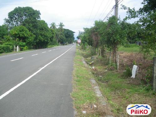 Agricultural Lot for sale in Iba in Philippines