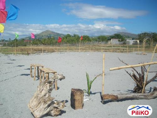 Commercial Lot for sale in Cabangan in Philippines