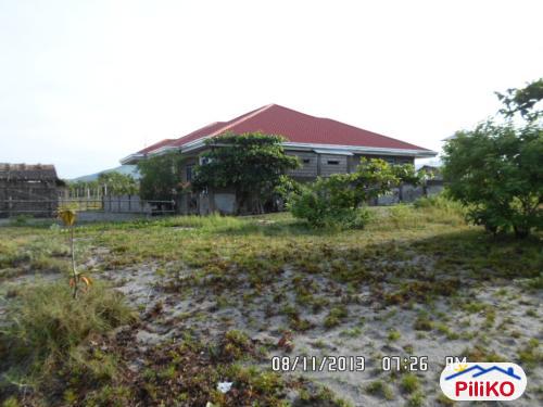 Other lots for sale in Cabangan in Philippines