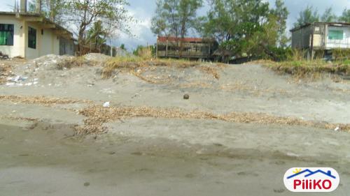 Agricultural Lot for sale in Iba - image 4