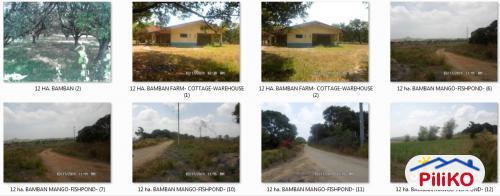 Agricultural Lot for sale in Capas in Philippines