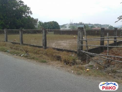 Agricultural Lot for sale in Cabangan - image 4