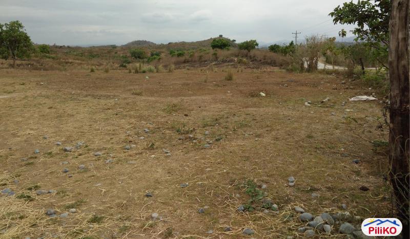 Agricultural Lot for sale in Capas in Philippines