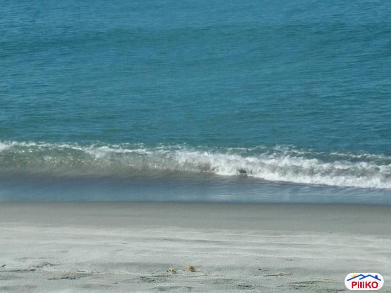 Agricultural Lot for sale in Botolan - image 4