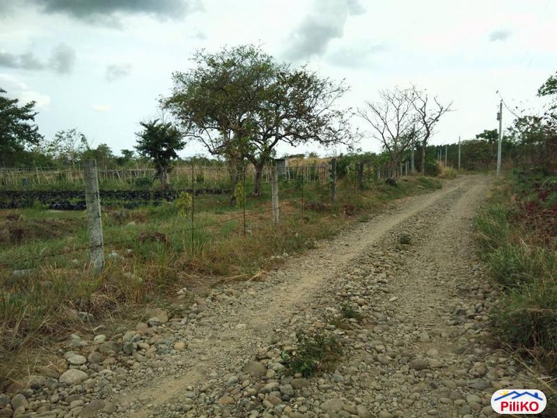 Agricultural Lot for sale in Palauig in Philippines