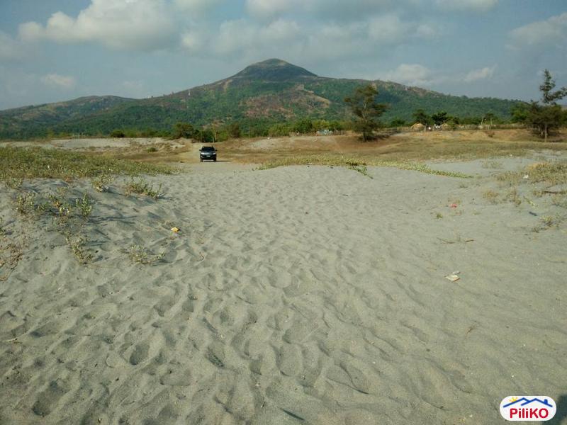 Agricultural Lot for sale in Botolan - image 4