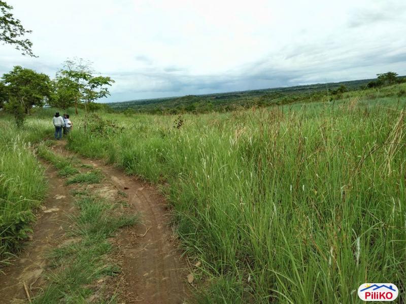 Agricultural Lot for sale in Iba in Philippines