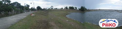 Picture of Other lots for sale in Candelaria in Zambales