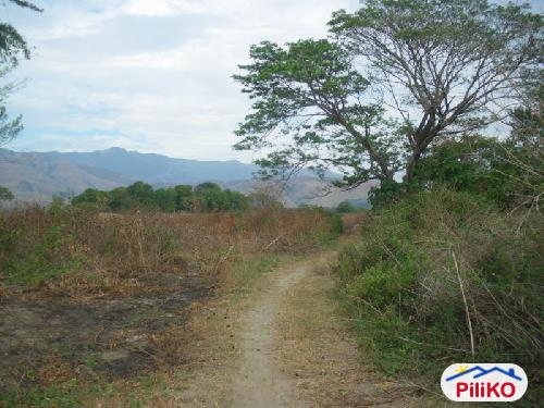 Picture of Agricultural Lot for sale in Nasugbu in Batangas