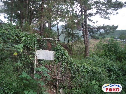 Picture of Residential Lot for sale in Baguio in Benguet