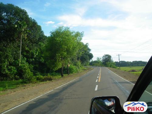 Picture of Agricultural Lot for sale in Iba in Zambales