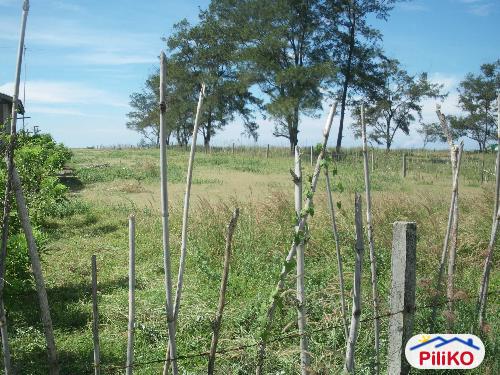 Commercial Lot for sale in Botolan - image 5