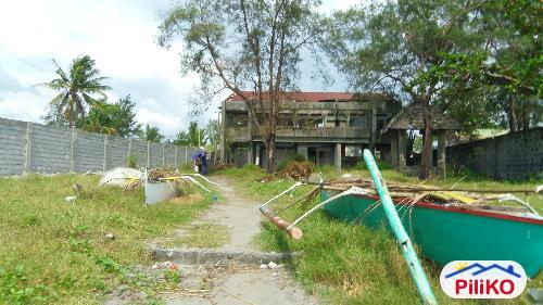 Agricultural Lot for sale in Iba - image 5