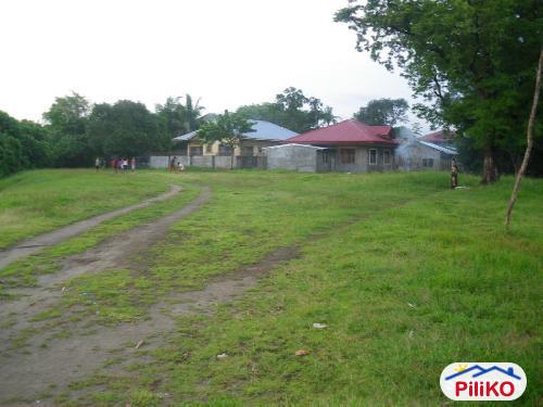 Picture of Agricultural Lot for sale in Iba in Zambales