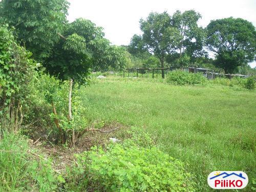 Picture of Agricultural Lot for sale in Iba in Zambales
