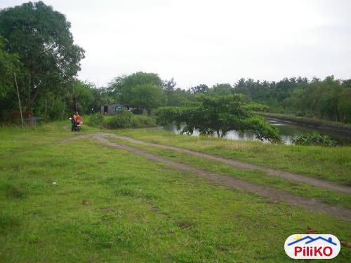 Picture of Other lots for sale in Iba in Zambales