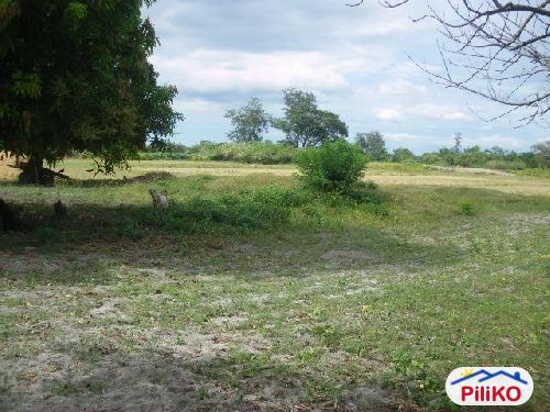 Agricultural Lot for sale in San Antonio - image 5