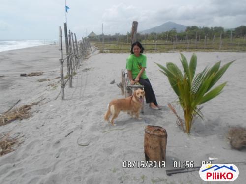 Picture of Other lots for sale in Cabangan in Zambales