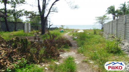 Agricultural Lot for sale in Iba - image 5