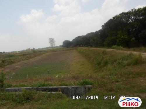 Agricultural Lot for sale in Capas - image 5