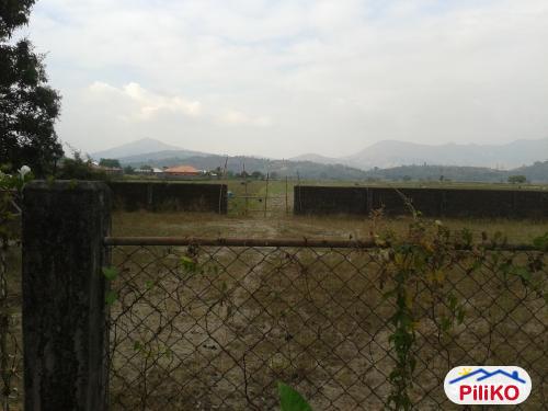 Picture of Agricultural Lot for sale in Cabangan in Zambales