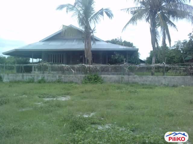 Picture of Agricultural Lot for sale in Concepcion in Tarlac