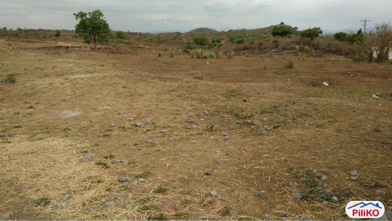 Agricultural Lot for sale in Capas - image 5