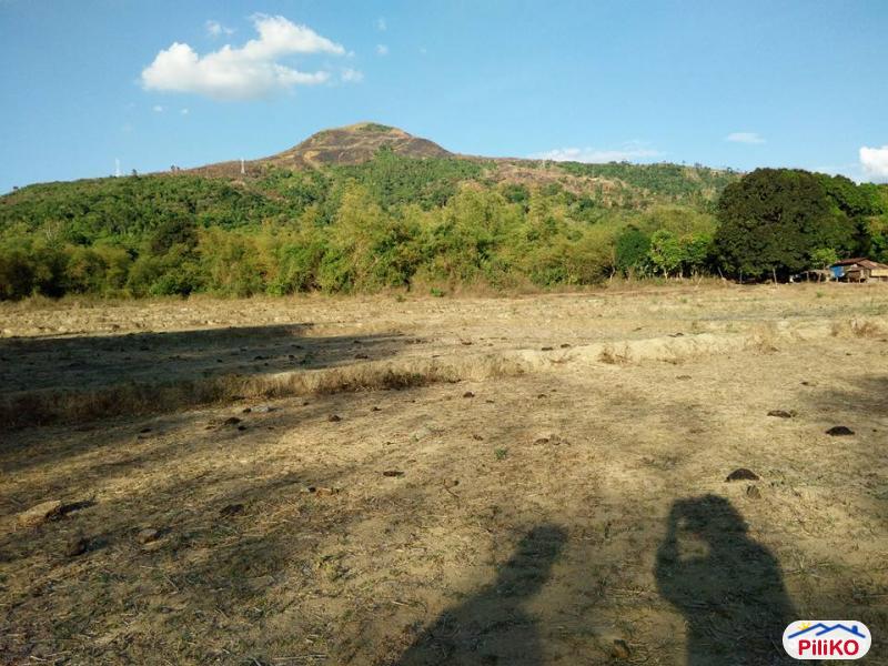 Picture of Agricultural Lot for sale in Botolan in Zambales