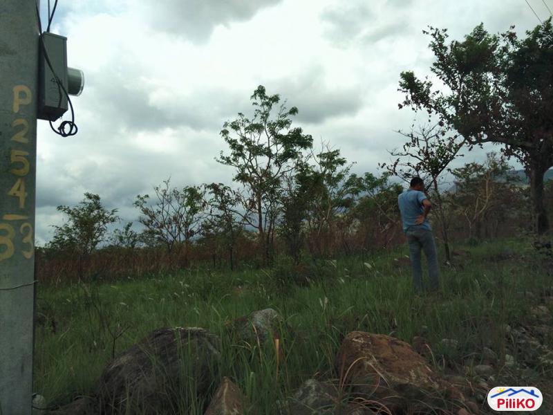 Picture of Agricultural Lot for sale in Palauig in Zambales
