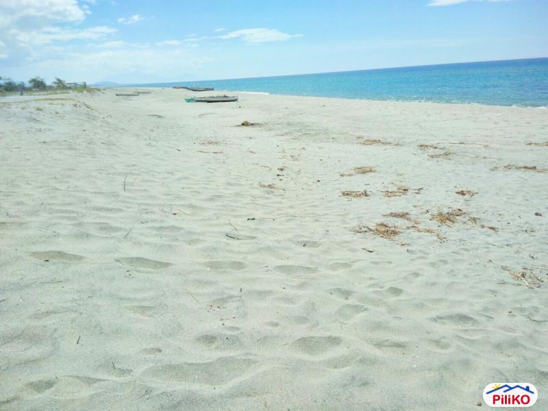 Agricultural Lot for sale in Botolan - image 5