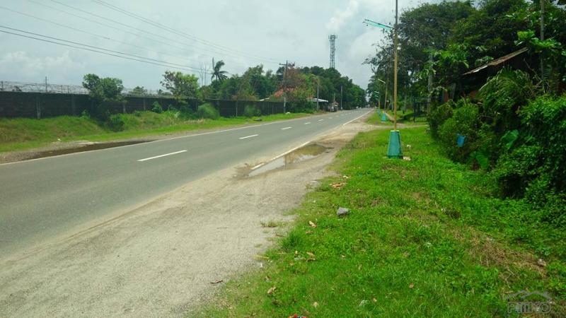 Picture of Land and Farm for sale in Botolan in Zambales