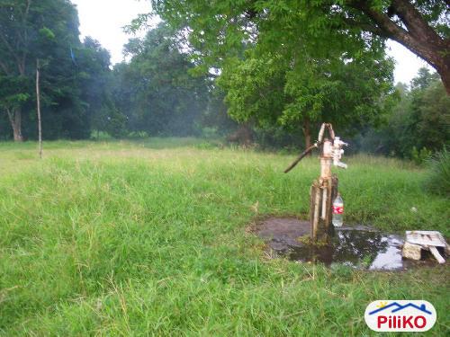 Picture of Agricultural Lot for sale in Iba in Philippines