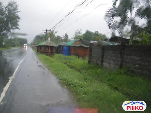 Picture of Agricultural Lot for sale in Iba in Philippines